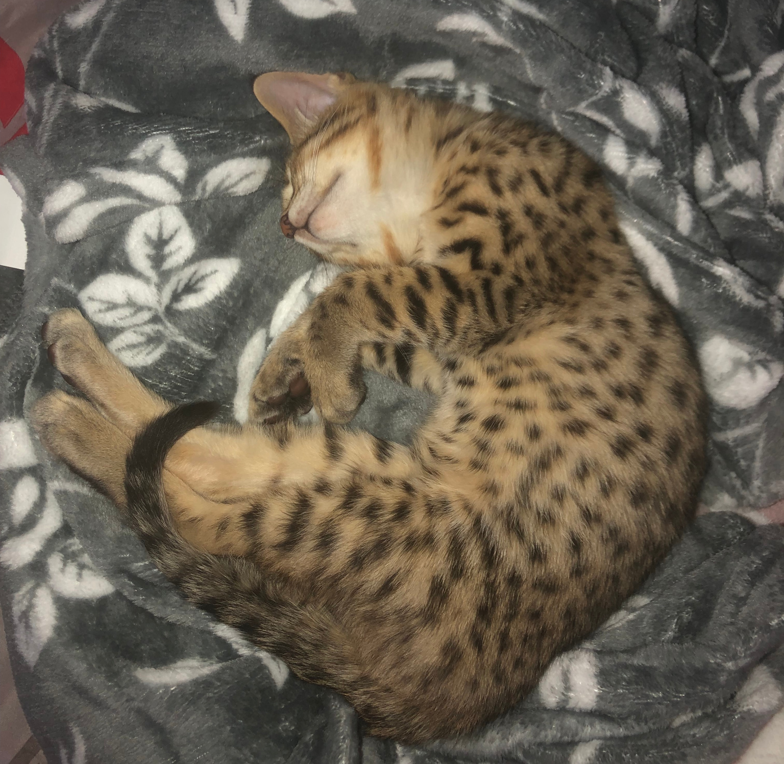 2019 05 05 16.59.37 1